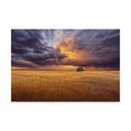 Trademark Fine Art Antonio Bernardino Coelho 'Alone In The Field' Canvas Art, 30x47 1X07070-C3047GG